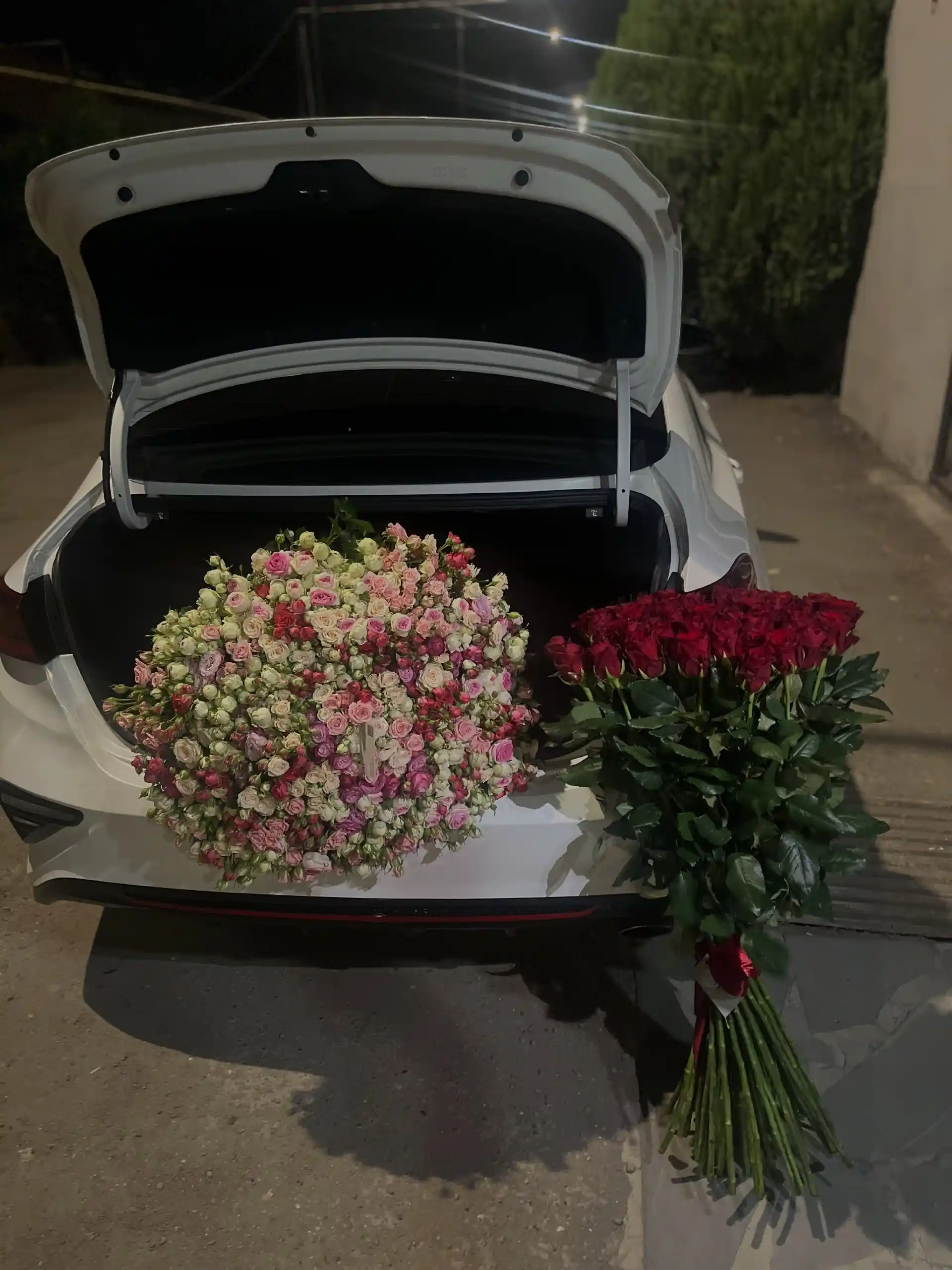 Թագավորական Կարմիր · Հոլանդական Վարդեր